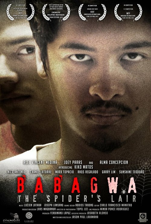 Смотреть фильм Логово паука / Babagwa (2013) онлайн в хорошем качестве HDRip