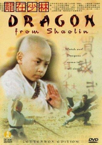 Смотреть фильм Long zai Shaolin (1996) онлайн в хорошем качестве HDRip