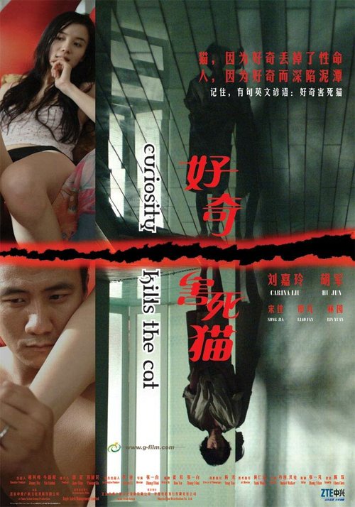 Смотреть фильм Любопытство губит кошку / Hao qi hai si mao (2006) онлайн в хорошем качестве HDRip