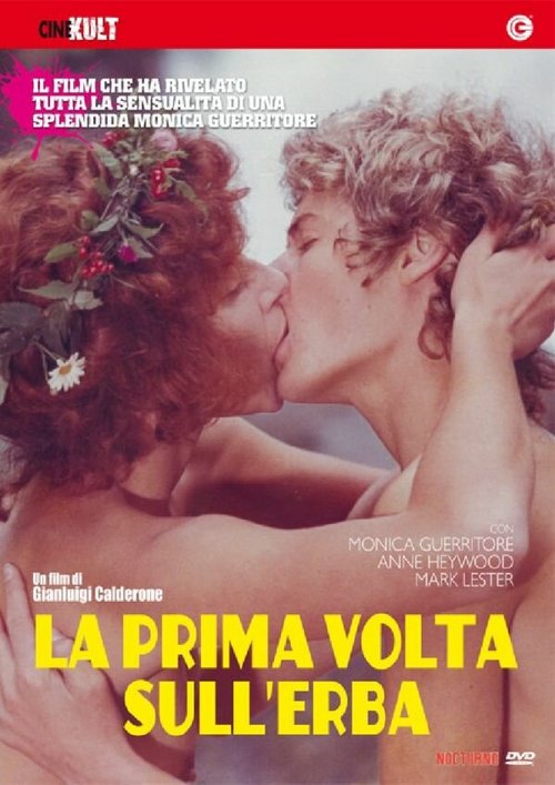 Смотреть фильм Любовь под вязами / La prima volta, sull'erba (1975) онлайн в хорошем качестве SATRip