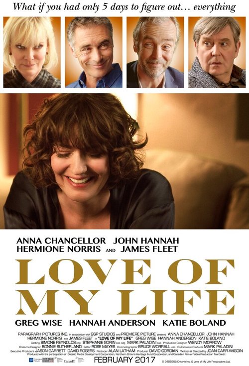 Смотреть фильм Любовь всей моей жизни / Love of My Life (2017) онлайн в хорошем качестве HDRip