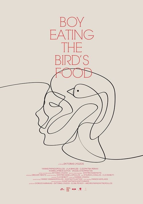 Смотреть фильм Мальчик, который ел птичий корм / To agori troei to fagito tou pouliou (2012) онлайн в хорошем качестве HDRip