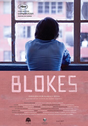 Смотреть фильм Мальчики / Blokes (2010) онлайн 