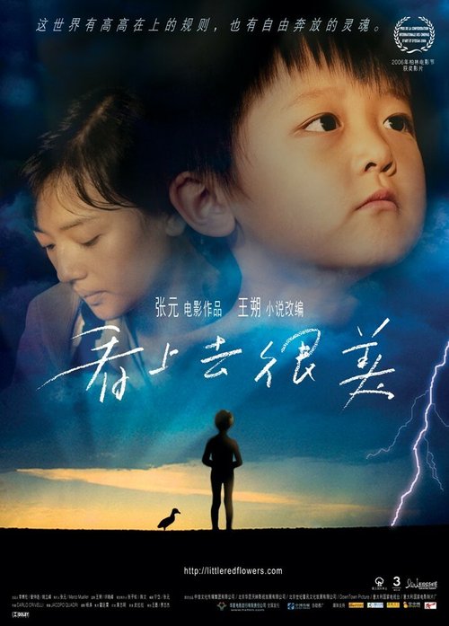 Смотреть фильм Маленькие красные цветы / Kan shang qu hen mei (2006) онлайн в хорошем качестве HDRip