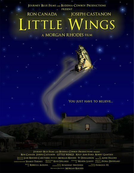 Смотреть фильм Маленькие крылья / Little Wings (2007) онлайн 