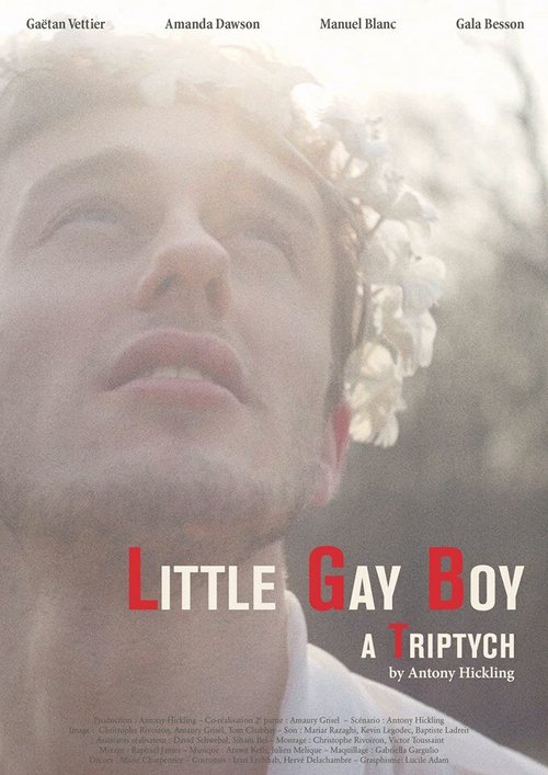 Смотреть фильм Маленький мальчик-гей / Little Gay Boy (2013) онлайн в хорошем качестве HDRip