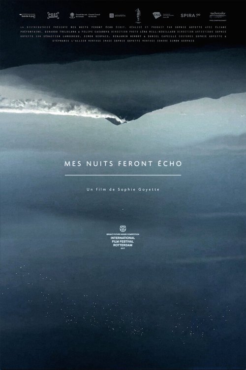 Смотреть фильм Mes nuits feront écho (2016) онлайн в хорошем качестве CAMRip