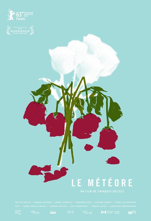 Смотреть фильм Метеор / Le météore (2013) онлайн в хорошем качестве HDRip