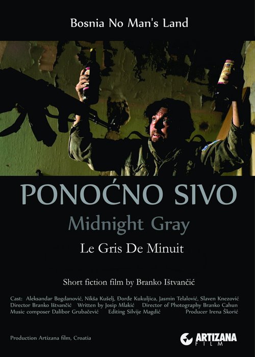 Смотреть фильм Midnight Gray (2014) онлайн 