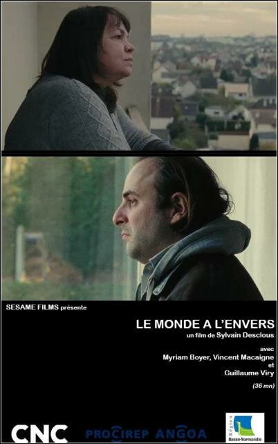 Смотреть фильм Мир вверх тормашками / Le monde à l'envers (2012) онлайн в хорошем качестве HDRip
