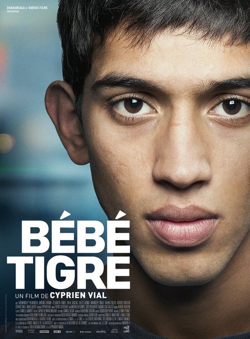 Смотреть фильм Молодой тигр / Bébé tigre (2014) онлайн в хорошем качестве HDRip