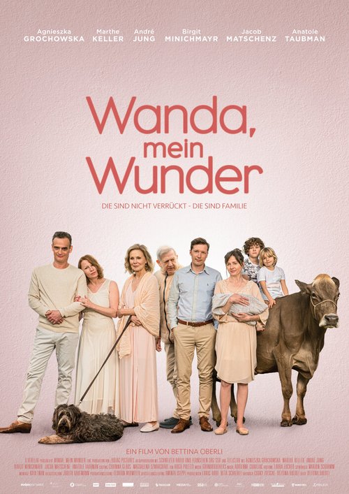 Смотреть фильм Моя чудесная Ванда / Wanda, mein Wunder (2020) онлайн в хорошем качестве HDRip