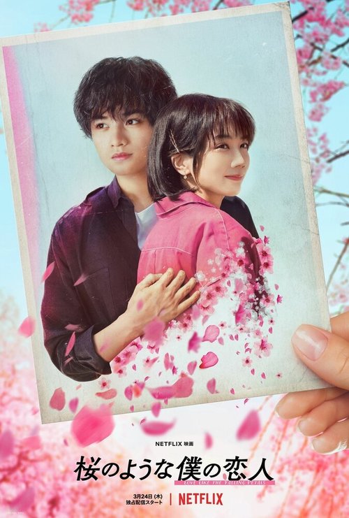 Смотреть фильм Моя любимая словно цветок сакуры / Sakura no Yona Boku no Koibito (2022) онлайн в хорошем качестве HDRip