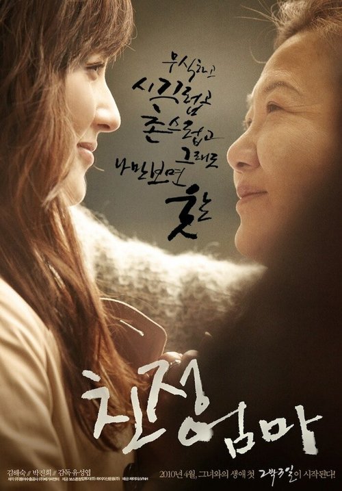 Смотреть фильм Моя мама / Chinjung eomma (2010) онлайн в хорошем качестве HDRip