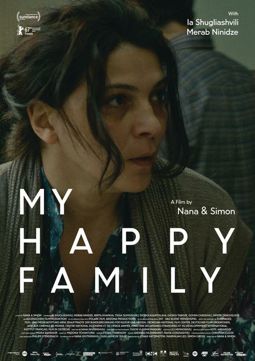 Смотреть фильм Моя счастливая семья / Chemi Bednieri Ojakhi (2017) онлайн в хорошем качестве HDRip