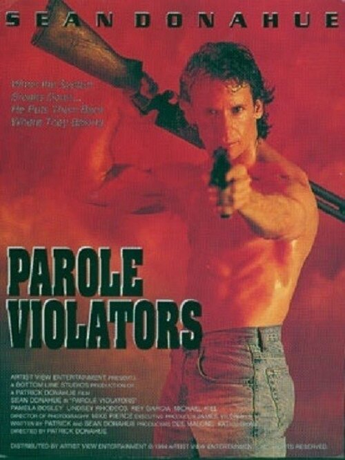 Смотреть фильм Нарушившие условия досрочного освобождения / Parole Violators (1994) онлайн в хорошем качестве HDRip