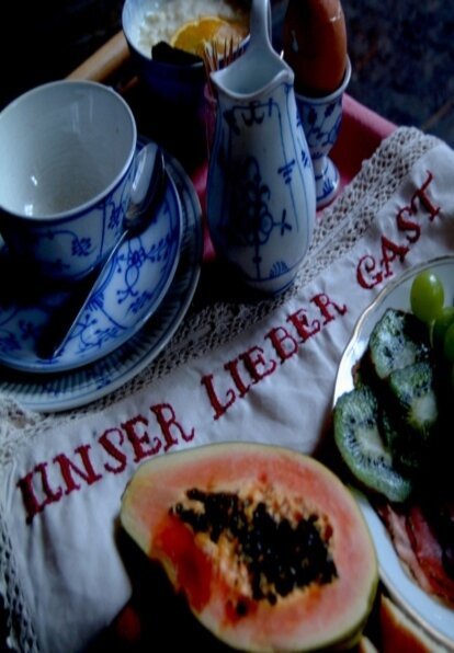 Смотреть фильм Наш дорогой гость / Unser lieber Gast (2006) онлайн 