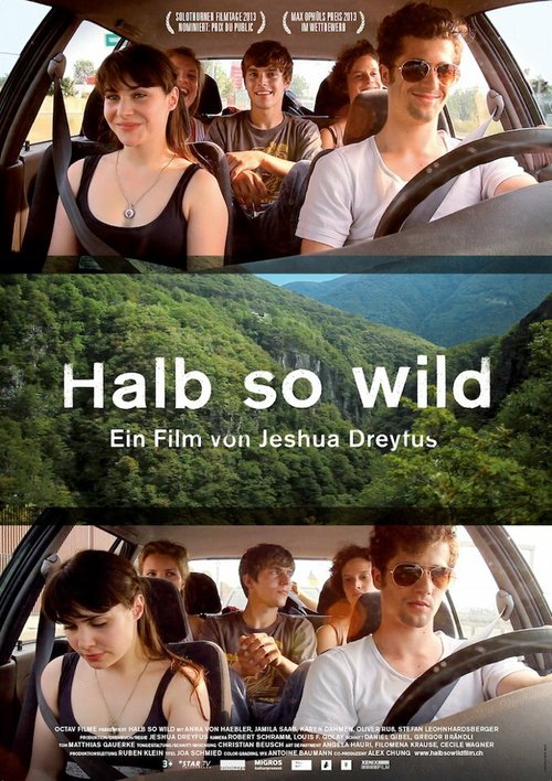 Смотреть фильм Не обращай внимания / Halb so wild (2013) онлайн в хорошем качестве HDRip