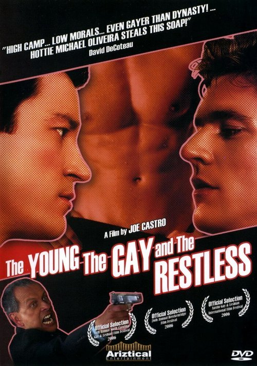 Неугомонные «голубые» парнишки / The Young, the Gay and the Restless