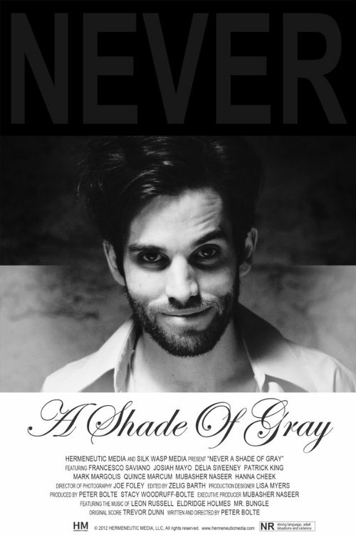 Смотреть фильм Never a Shade of Gray (2012) онлайн 