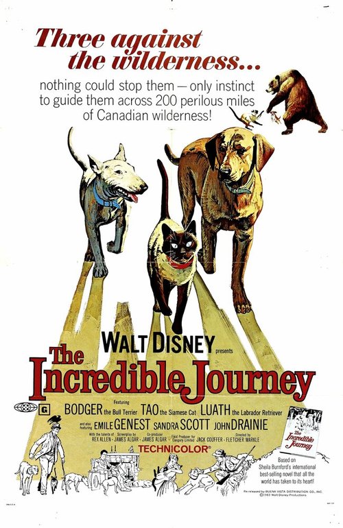 Смотреть фильм Невероятное путешествие / The Incredible Journey (1963) онлайн в хорошем качестве SATRip