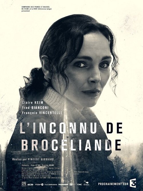 Смотреть фильм Незнакомец из Броселианда / L'Inconnu de Brocéliande (2016) онлайн в хорошем качестве CAMRip
