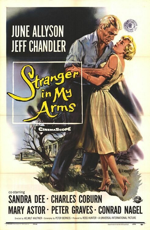 Смотреть фильм Незнакомец в моих объятьях / A Stranger in My Arms (1959) онлайн в хорошем качестве SATRip