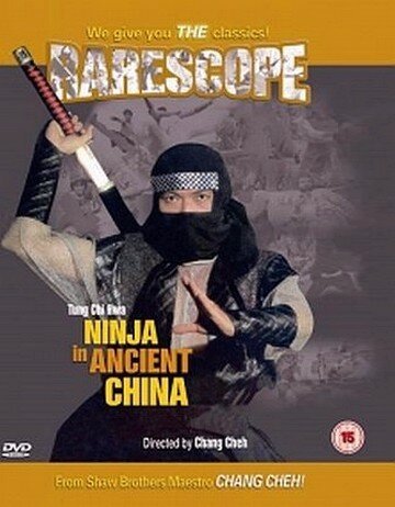 Смотреть фильм Ниндзя в древнем Китае / Shen tong (1993) онлайн в хорошем качестве HDRip