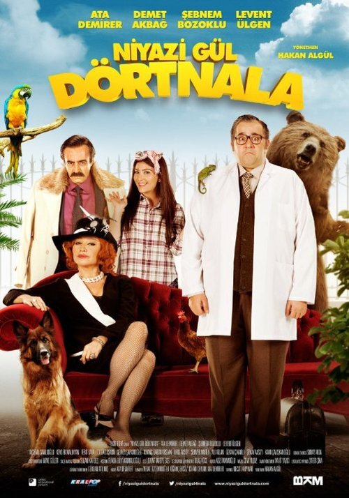 Смотреть фильм Niyazi Gül Dörtnala (2015) онлайн в хорошем качестве HDRip
