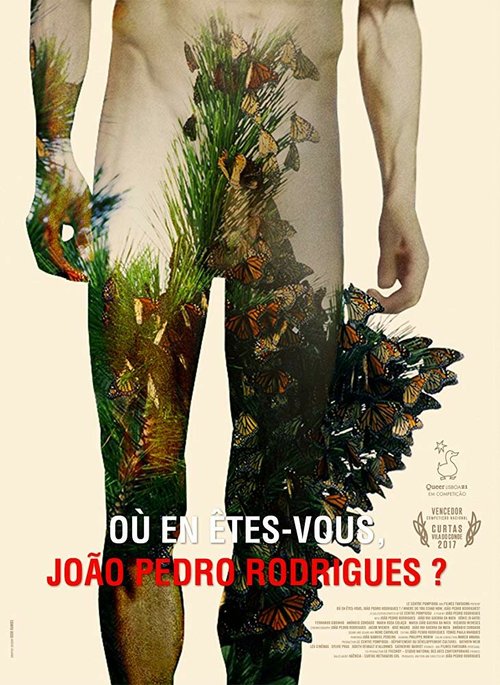 Смотреть фильм Où en êtes-vous, João Pedro Rodrigues? (2017) онлайн в хорошем качестве HDRip