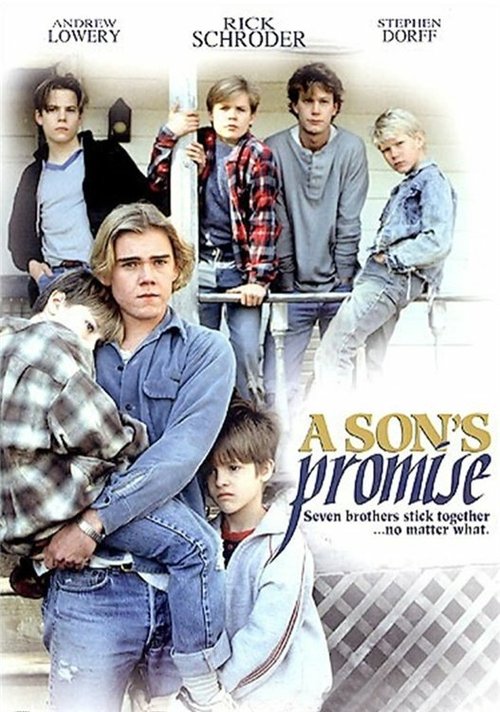 Обещание сына / A Son's Promise