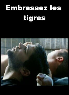 Обнимите тигров / Embrasser les tigres