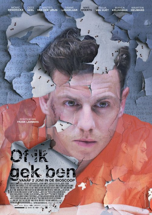 Смотреть фильм Of ik gek ben (2016) онлайн в хорошем качестве CAMRip