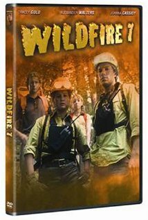 Смотреть фильм Огненный десант / Wildfire 7: The Inferno (2002) онлайн в хорошем качестве HDRip