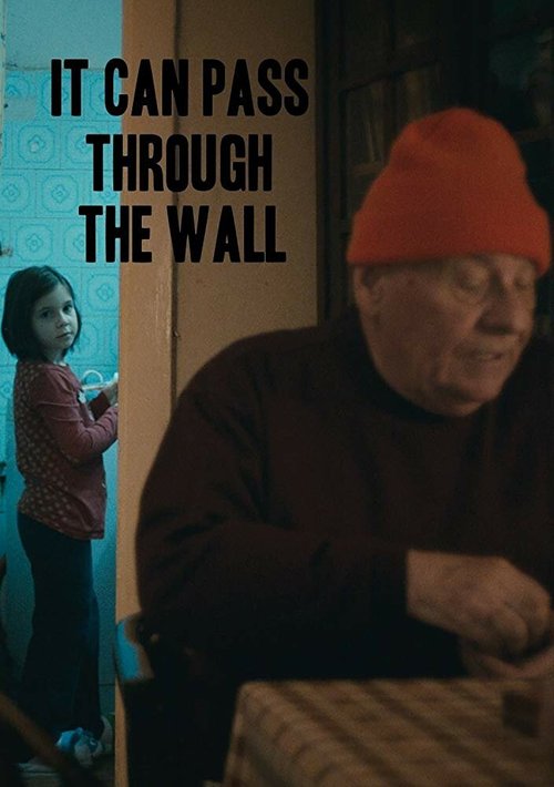 Смотреть фильм Оно может пройти сквозь стену / Trece si prin perete (2014) онлайн 