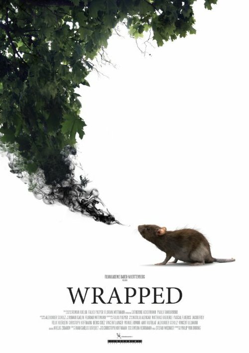 Смотреть фильм Опутанные / Wrapped (2015) онлайн 