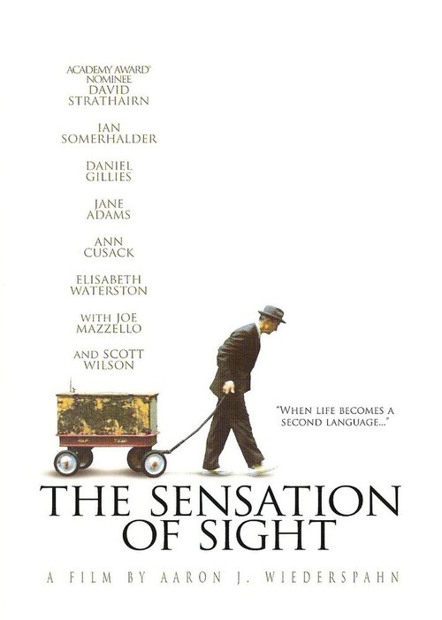 Смотреть фильм Ощущение видения / The Sensation of Sight (2006) онлайн в хорошем качестве HDRip