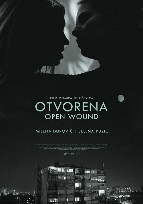 Смотреть фильм Открытая рана / Otvorena (2016) онлайн в хорошем качестве CAMRip