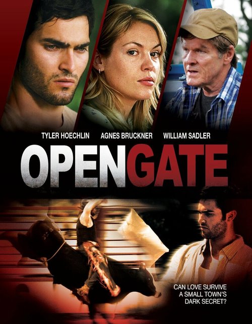 Смотреть фильм Открытые ворота / Open Gate (2011) онлайн в хорошем качестве HDRip