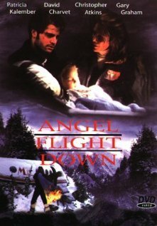 Смотреть фильм Падение борта «Ангел» / Angel Flight Down (1996) онлайн в хорошем качестве HDRip