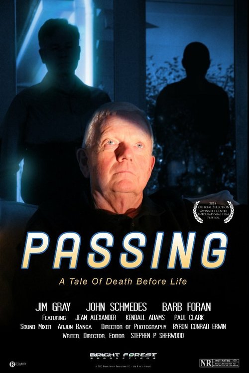 Смотреть фильм Passing (2013) онлайн в хорошем качестве HDRip