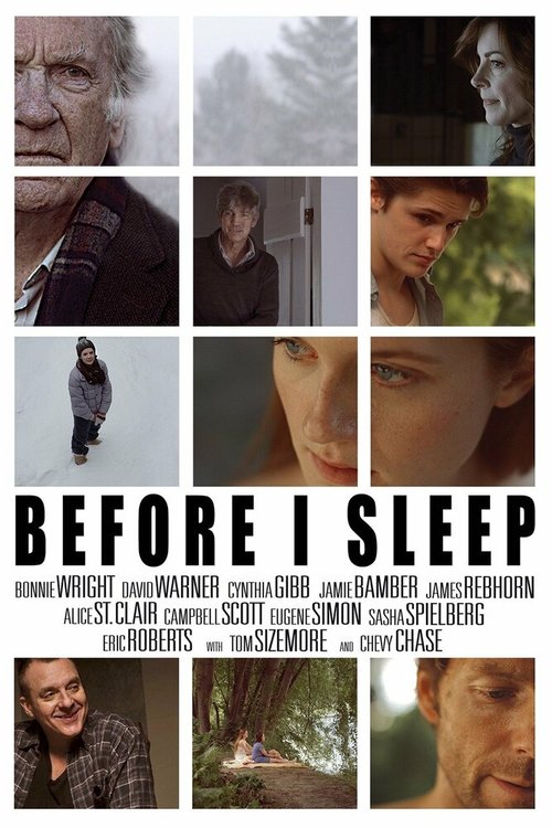 Смотреть фильм Перед сном / Before I Sleep (2013) онлайн в хорошем качестве HDRip