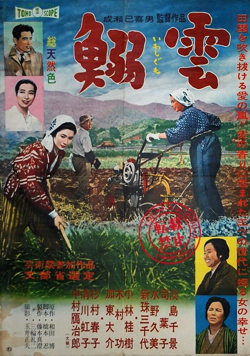 Смотреть фильм Перистые облака / Iwashigumo (1958) онлайн в хорошем качестве SATRip