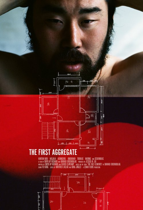 Смотреть фильм Первый из многих / The First Aggregate (2012) онлайн в хорошем качестве HDRip