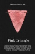 Смотреть фильм Pink Triangle (2010) онлайн 