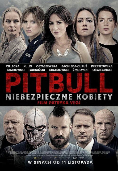 Смотреть фильм Питбуль. Опасные женщины / Pitbull. Niebezpieczne kobiety (2016) онлайн в хорошем качестве CAMRip
