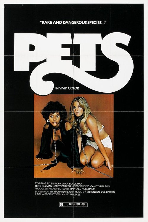 Смотреть фильм Питомцы / Pets (1973) онлайн в хорошем качестве SATRip