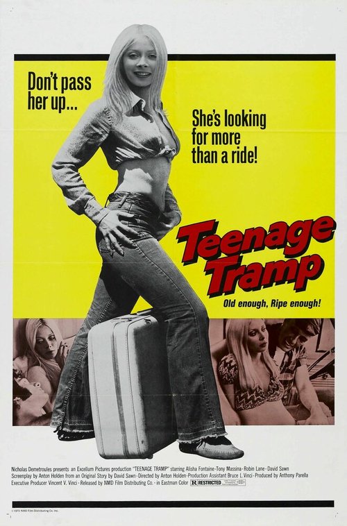 Смотреть фильм Подросток-бродяга / Teenage Tramp (1973) онлайн в хорошем качестве SATRip