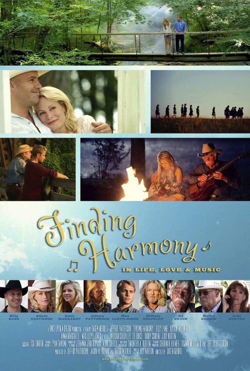 Смотреть фильм Поиски гармонии / Finding Harmony (2014) онлайн в хорошем качестве HDRip