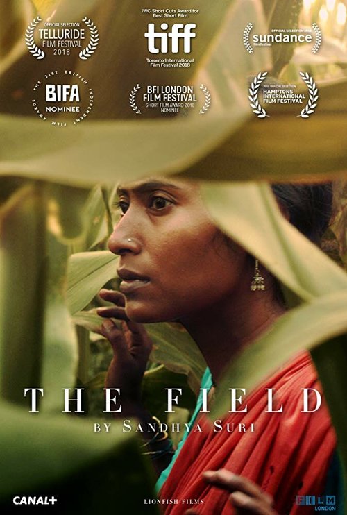 Смотреть фильм Поле / The Field (2018) онлайн 